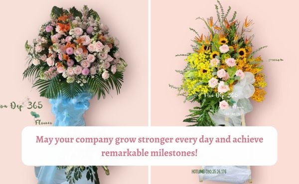 Lời chúc khai trương bằng tiếng Anh ý nghĩa