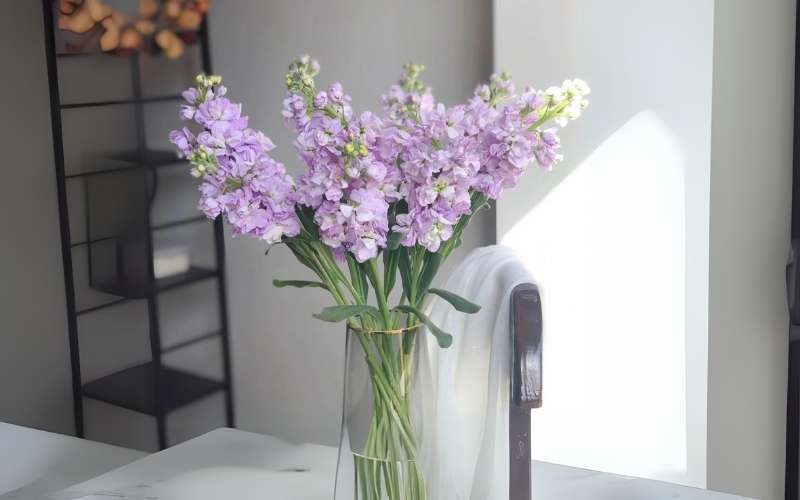 Mẫu cắm hoa phi yến trong lọ thủy tinh đơn giản