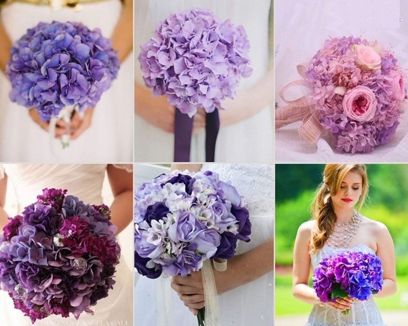 Hoa cẩm tú cầu tím trong đám cưới thường mang ý nghĩa của sự lãng mạn, thủy chung và một chút bí ẩn
