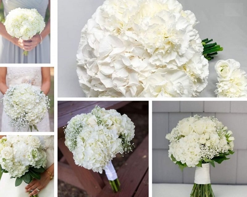 Mẫu bó hoa cưới cẩm tú cầu trắng