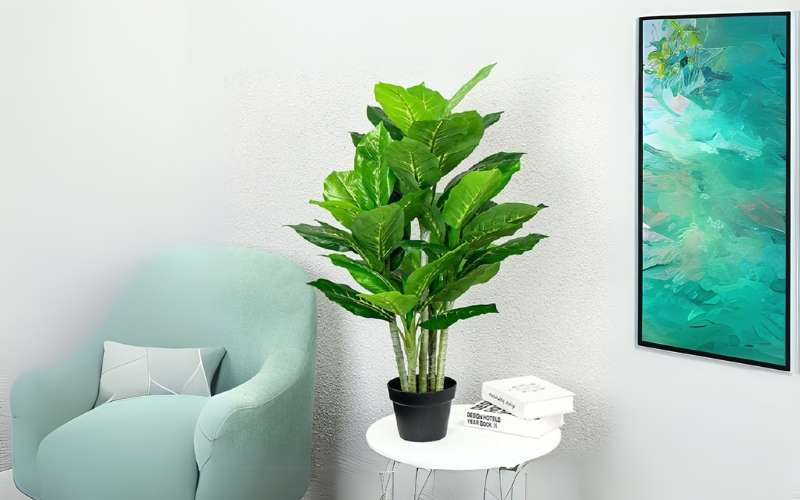 Với người mệnh Kim, cây Bạch Mã Hoàng Tử tượng trưng cho sự thăng tiến trong sự nghiệp, thu hút tài lộc