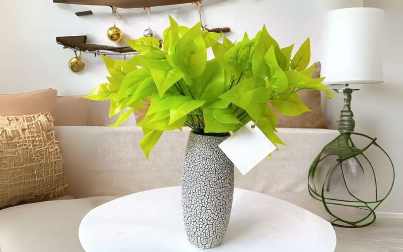 Trưng bày cây trong nhà giúp gia chủ thu hút năng lượng tích cực, mang lại sự thịnh vượng và bình an