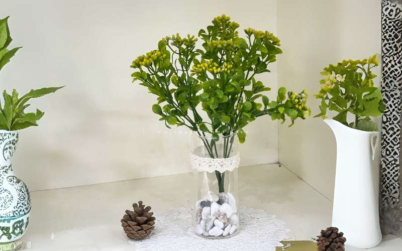 Hoa Ngâu tượng trưng cho sự thanh khiết, dịu dàng và may mắn