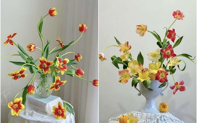 Mẫu hoa Tulip dáng uyển chuyển càng làm tôn lên vẻ đẹp mềm mại của hoa