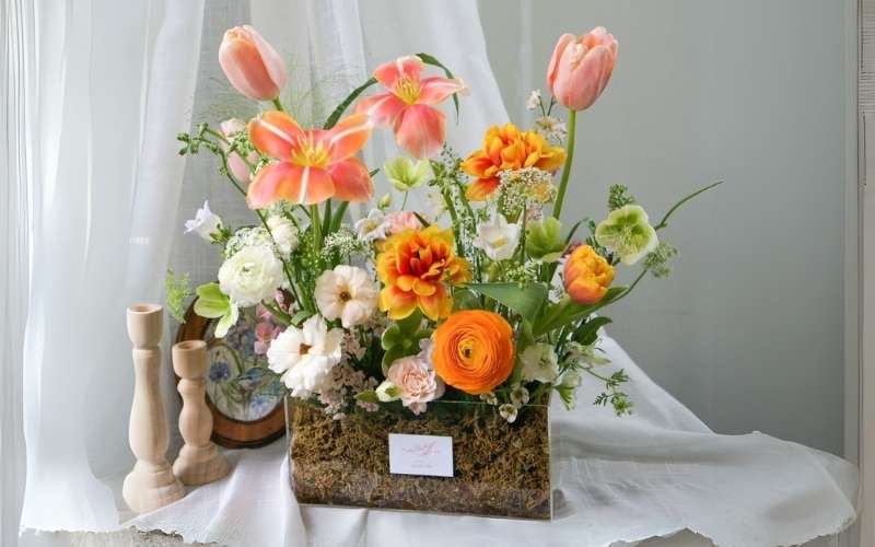 Mẫu hoa Tulip dáng uyển chuyển càng làm tôn lên vẻ đẹp mềm mại của hoa