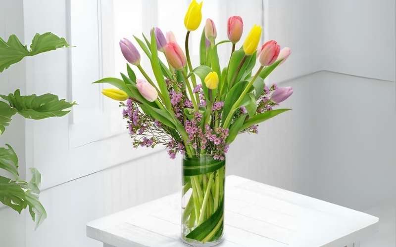 Mẫu hoa Tulip nhiều màu mix Thạch Thảo đơn giản