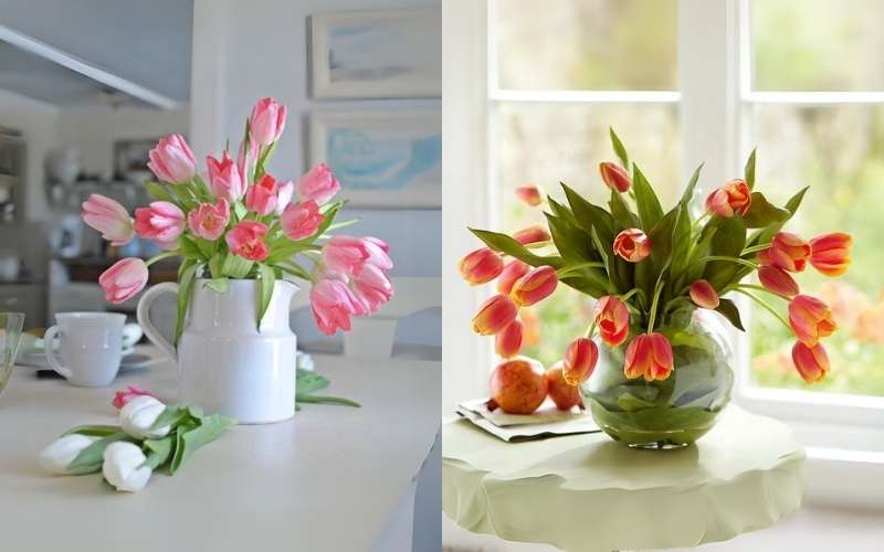 Mẫu hoa Tulip bình thấp đẹp, nhẹ nhàng