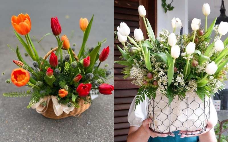 Mẫu giỏ hoa Tulip mix hoa lá đẹp