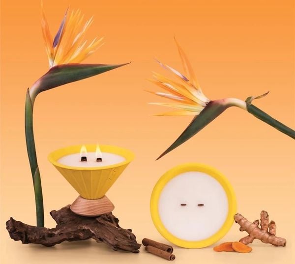 Nến thơm được làm từ hoa thiên điểu