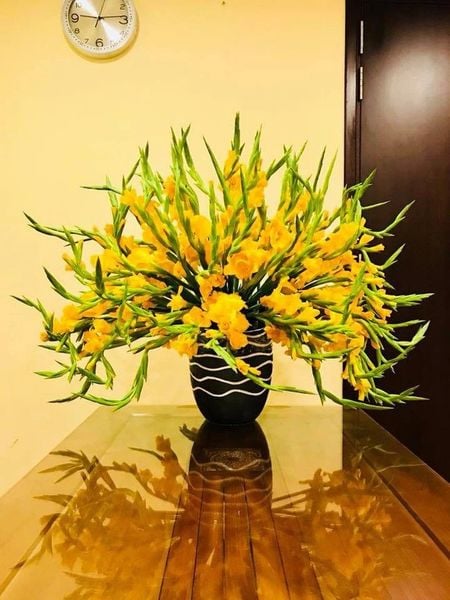 Hoa lay ơn vàng sẽ giúp không gian sống của bạn trở nên rực rỡ và màu sắc hơn