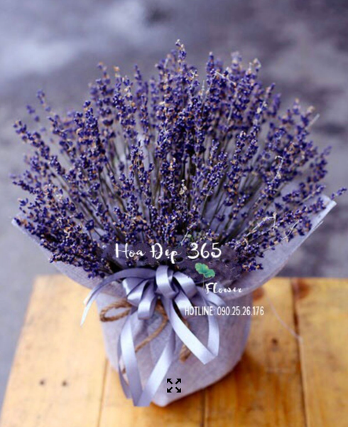 Hộp hoa Lavender thuỷ chung tặng 14/2