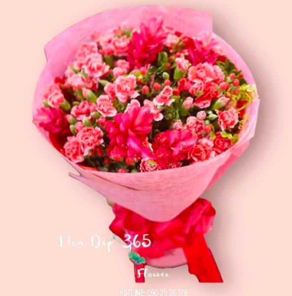 Hoa cẩm chướng mang nhiều ý nghĩa tích cực