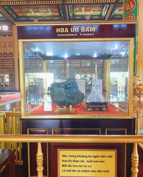 Hoa ưu đàm đá được trưng bày tại Kim Điện của Đại Nam