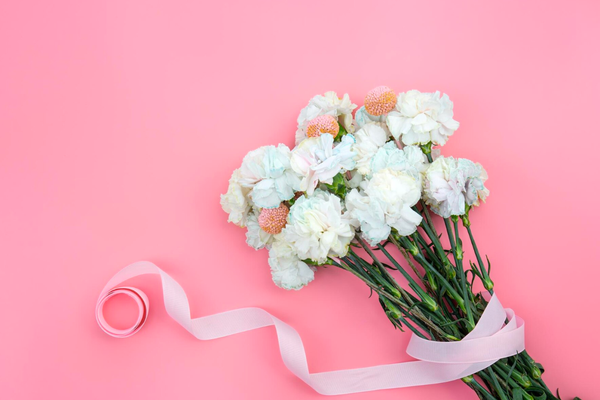 hoa cẩm chướng trắng nơ hồng