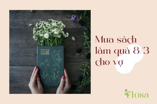 Sách và tiểu thuyết là món quà phù hợp dành tặng vợ