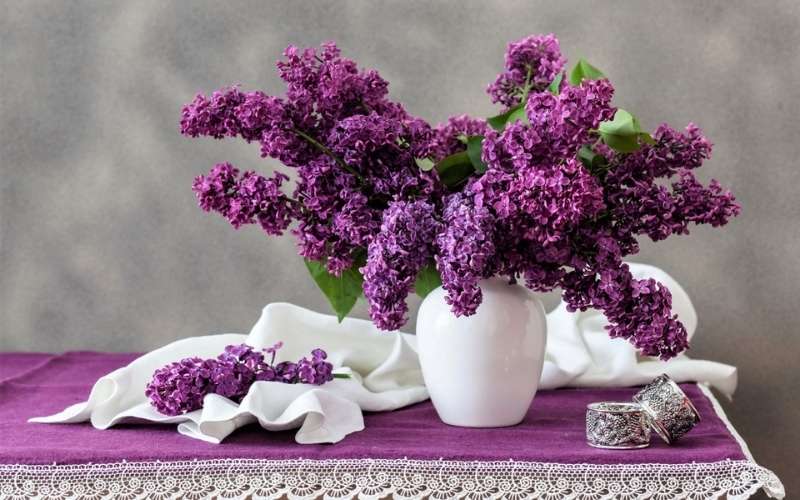 Hoa tử định hương tượng trưng cho sự động đầu đời, cùng với những cảm xúc xao xuyến của tình yêu