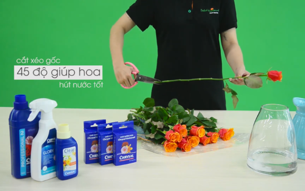 Cắt hoa và thả bình
