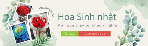 Đặt hoa ngay hôm nay để được giảm ngay 50k cho mỗi đơn hàng