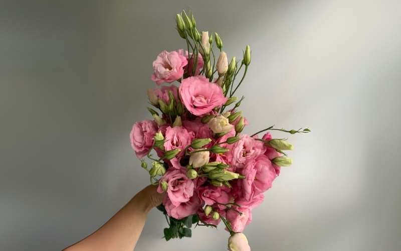 Hoa cát tường mang trong mình thông điệp về sự may mắn, tốt lành và niềm vui giản dị