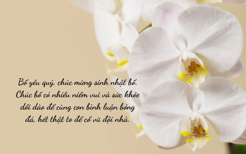 Thiệp hoa lan hồ điệp chúc mừng sinh nhật bố sang trọng
