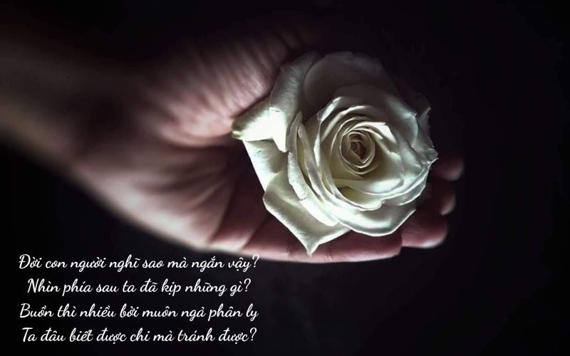 Thơ về cõi vĩnh hằng