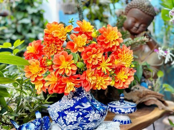 Bình hoa thược dược là các loại hoa Tết miền bắc được ưa chuộng
