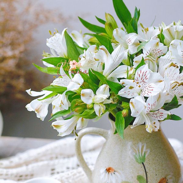 Hoa thuỷ tiên trắng