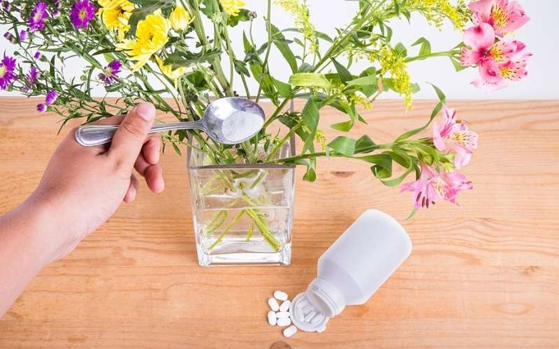 Aspirin là loại thuốc giúp hạ thấp độ pH của nước nhằm giúp hoa hút nước tốt và tươi lâu hơn