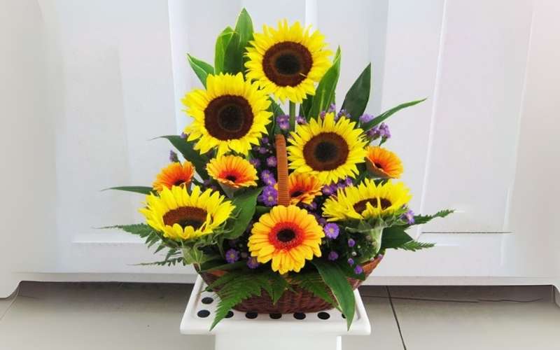 Mẫu hoa hướng dương dáng tam giác được cắm trên rổ có lót xốp bên trong