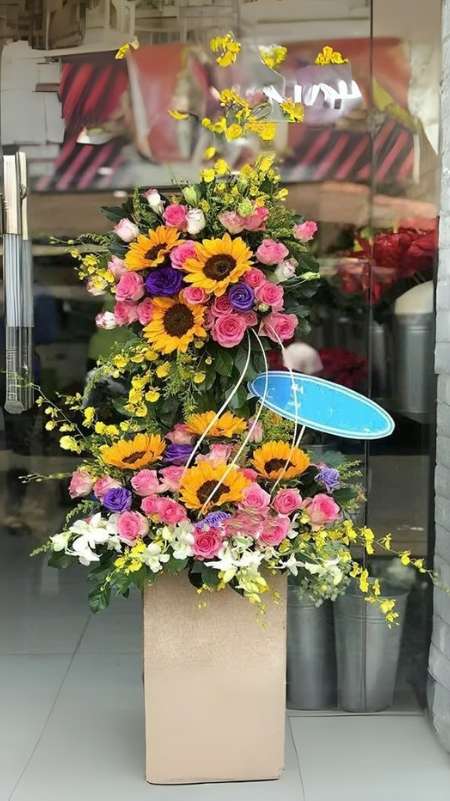 Hộp Hoa Hoa Hướng Dương Ngày Mới Nắng Lên