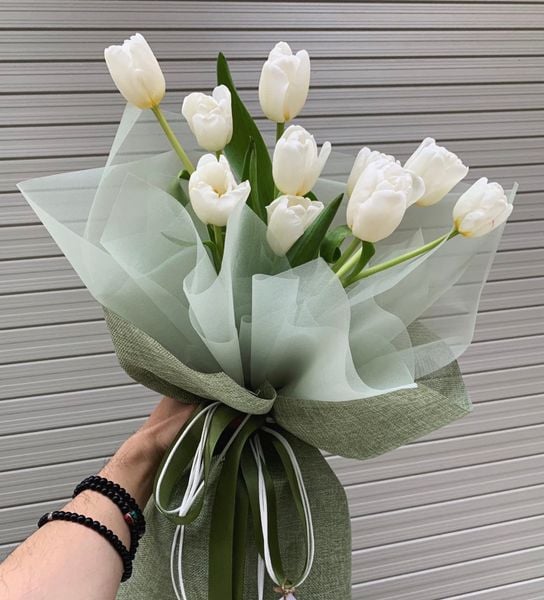 Bó hoa Tulip trắng