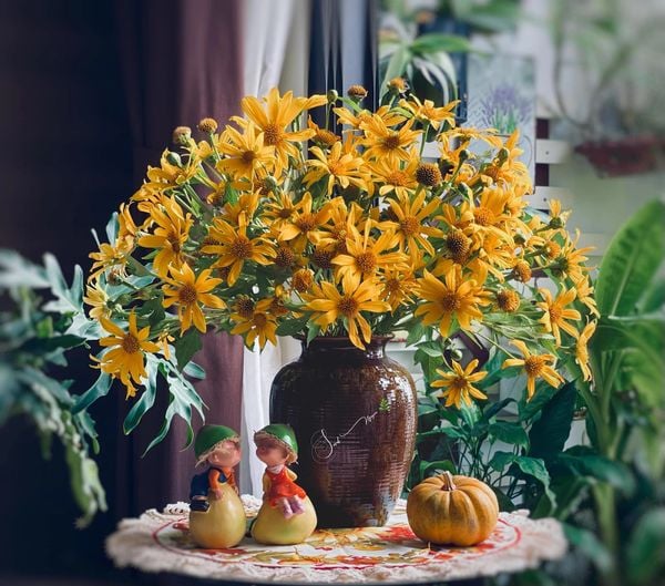 cắm hoa dã quỳ đẹp