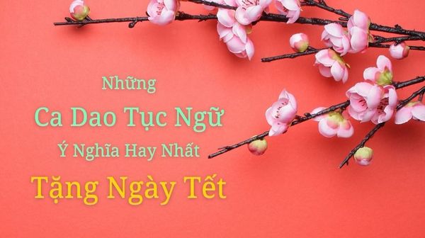 Những Ca Dao Tục Ngữ Hay Ý Nghĩa Tặng Ngày Tết