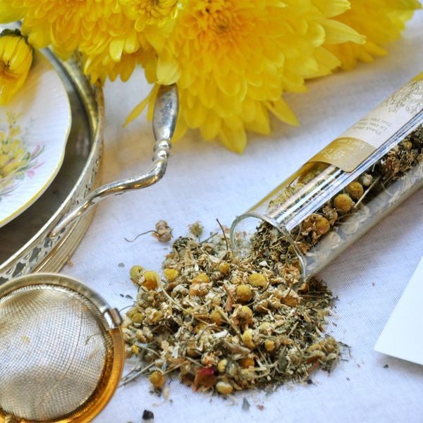 BÍ ẨN ĐẰNG SAU TÁCH TRÀ HOA CÚC LA MÃ