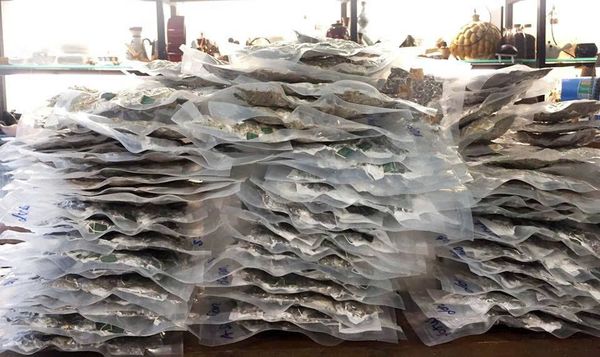Sỉ Trà Hoa Thảo Mộc Lục Lam