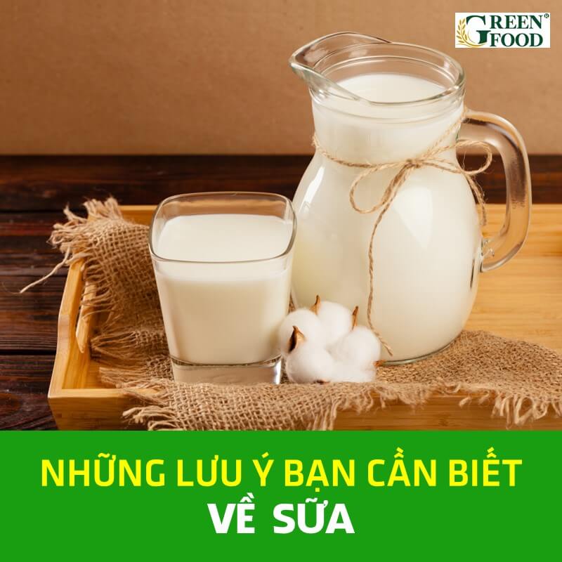 CÁC LƯU Ý VỀ SỮA MÀ BẠN CẦN BIẾT