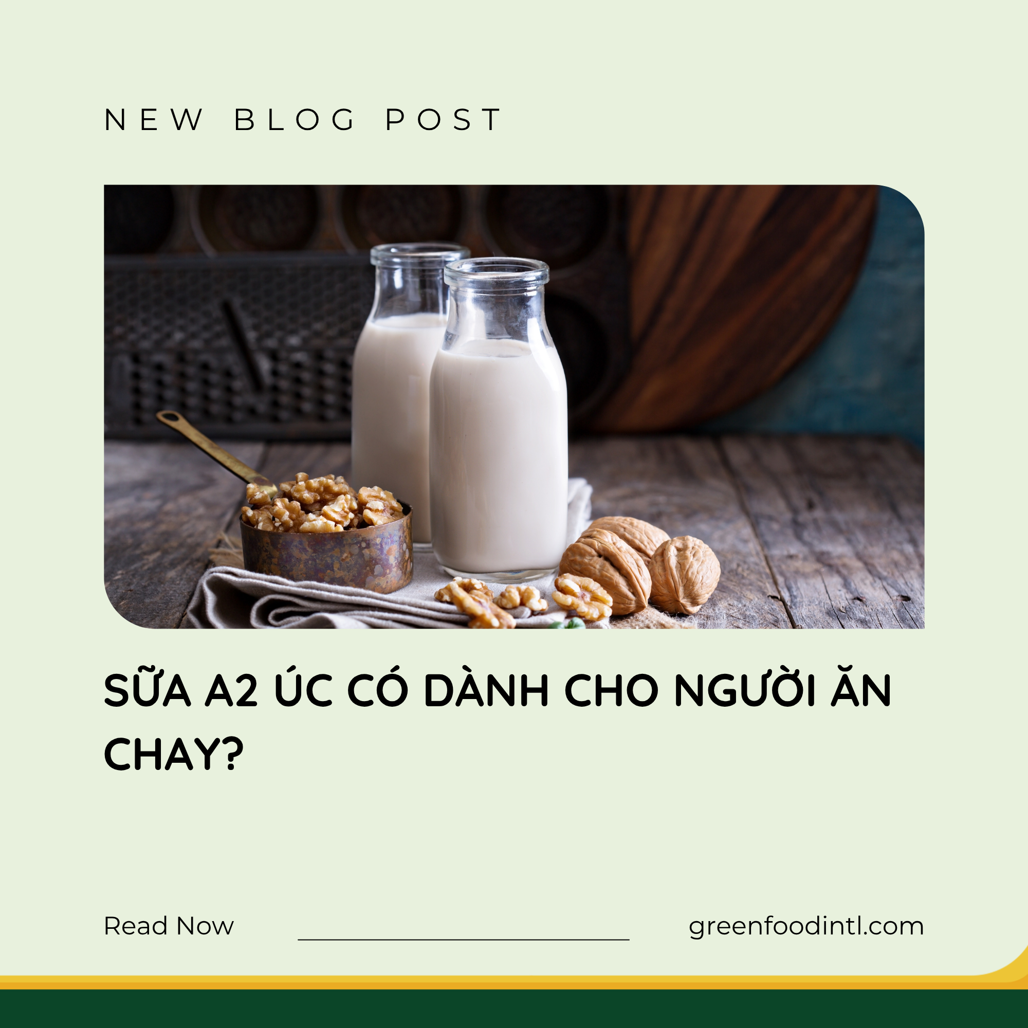 SỮA A2 ÚC CÓ DÀNH CHO NGƯỜI ĂN CHAY?