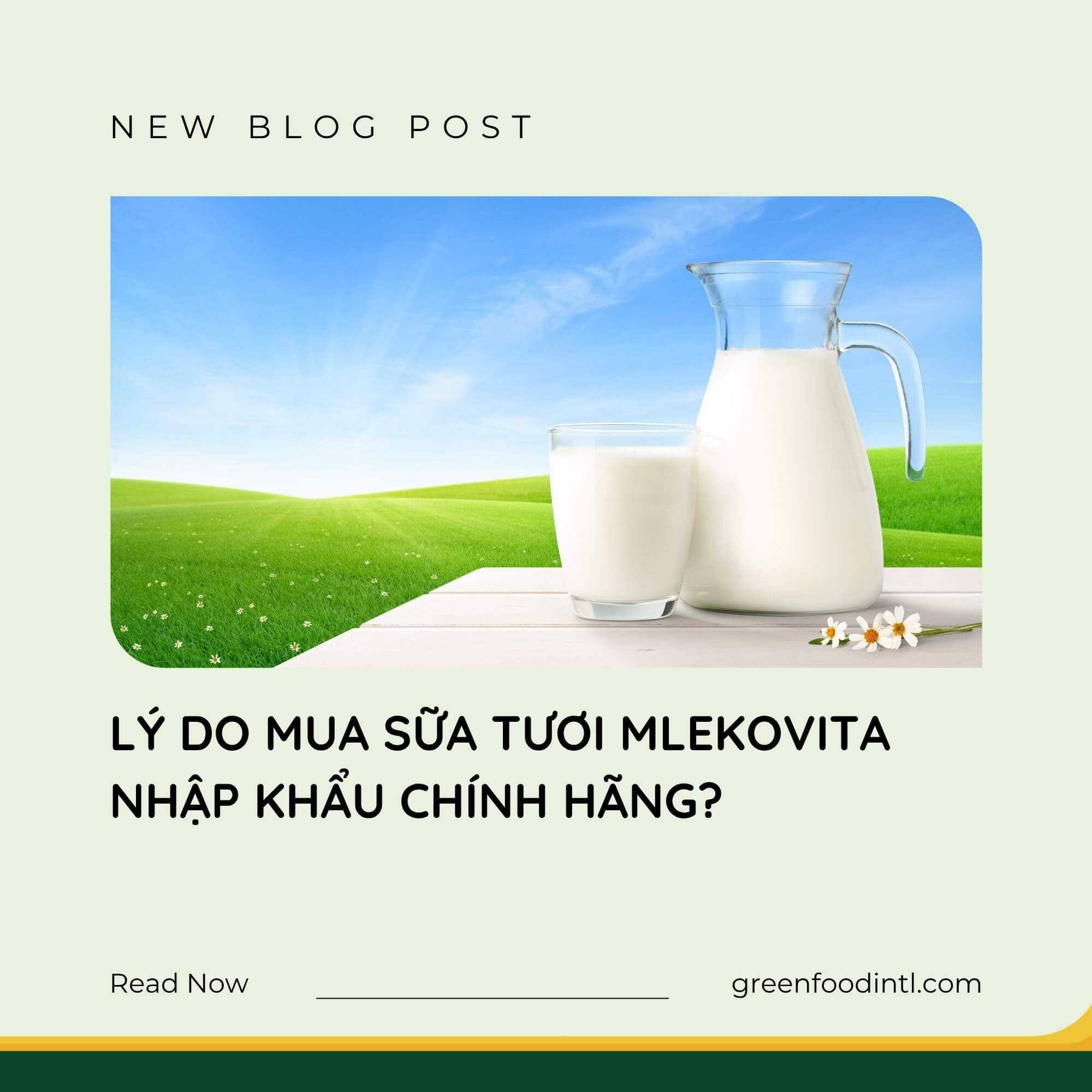 LÝ DO MUA SỮA TƯƠI MLEKOVITA NHẬP KHẨU CHÍNH HÃNG?