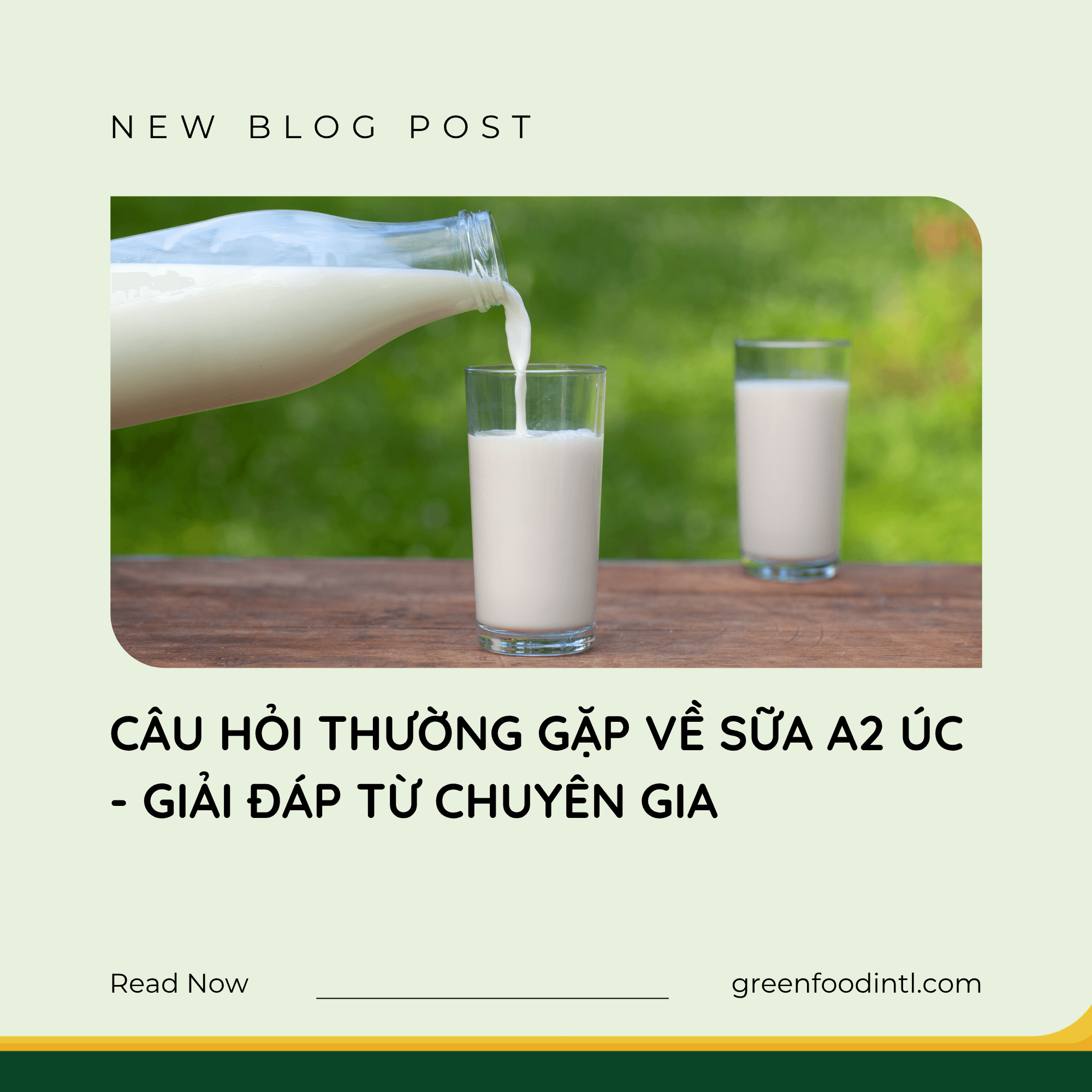 CÂU HỎI THƯỜNG GẶP VỀ SỮA A2 ÚC – GIẢI ĐÁP TỪ CHUYÊN GIA