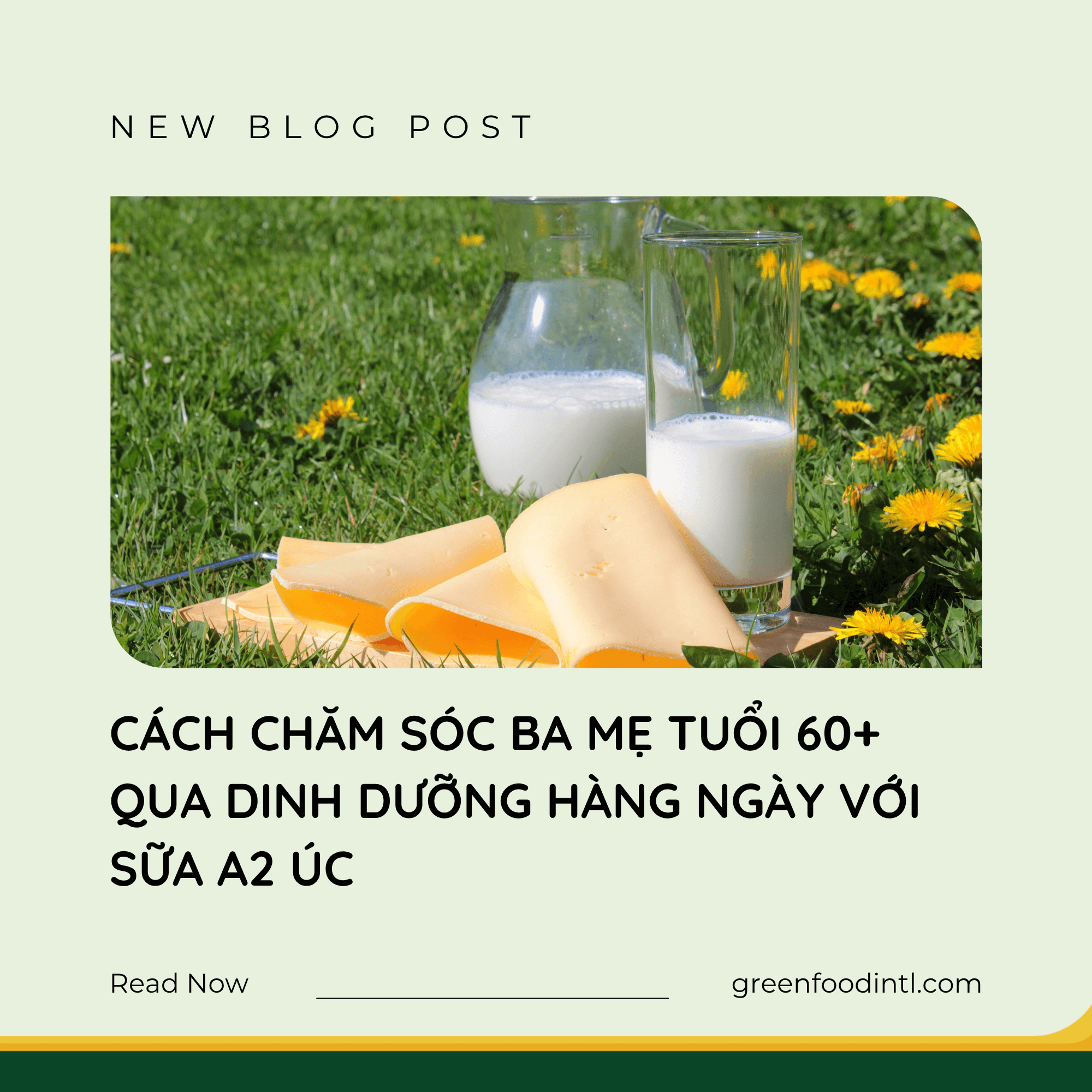 CÁCH CHĂM SÓC BA MẸ TUỔI 60+ QUA DINH DƯỠNG HÀNG NGÀY VỚI SỮA A2 ÚC