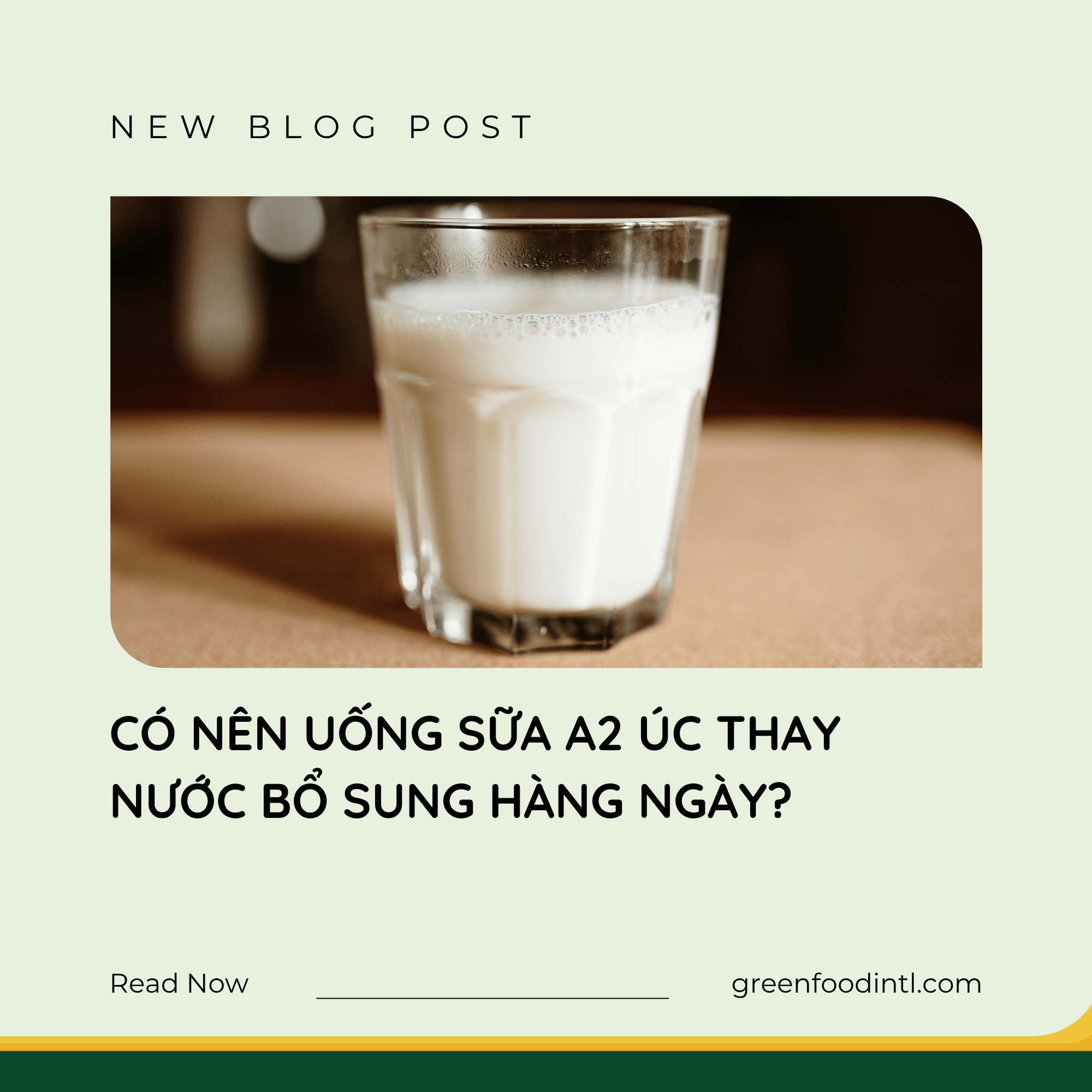 CÓ NÊN UỐNG SỮA A2 ÚC THAY NƯỚC BỔ SUNG HÀNG NGÀY?