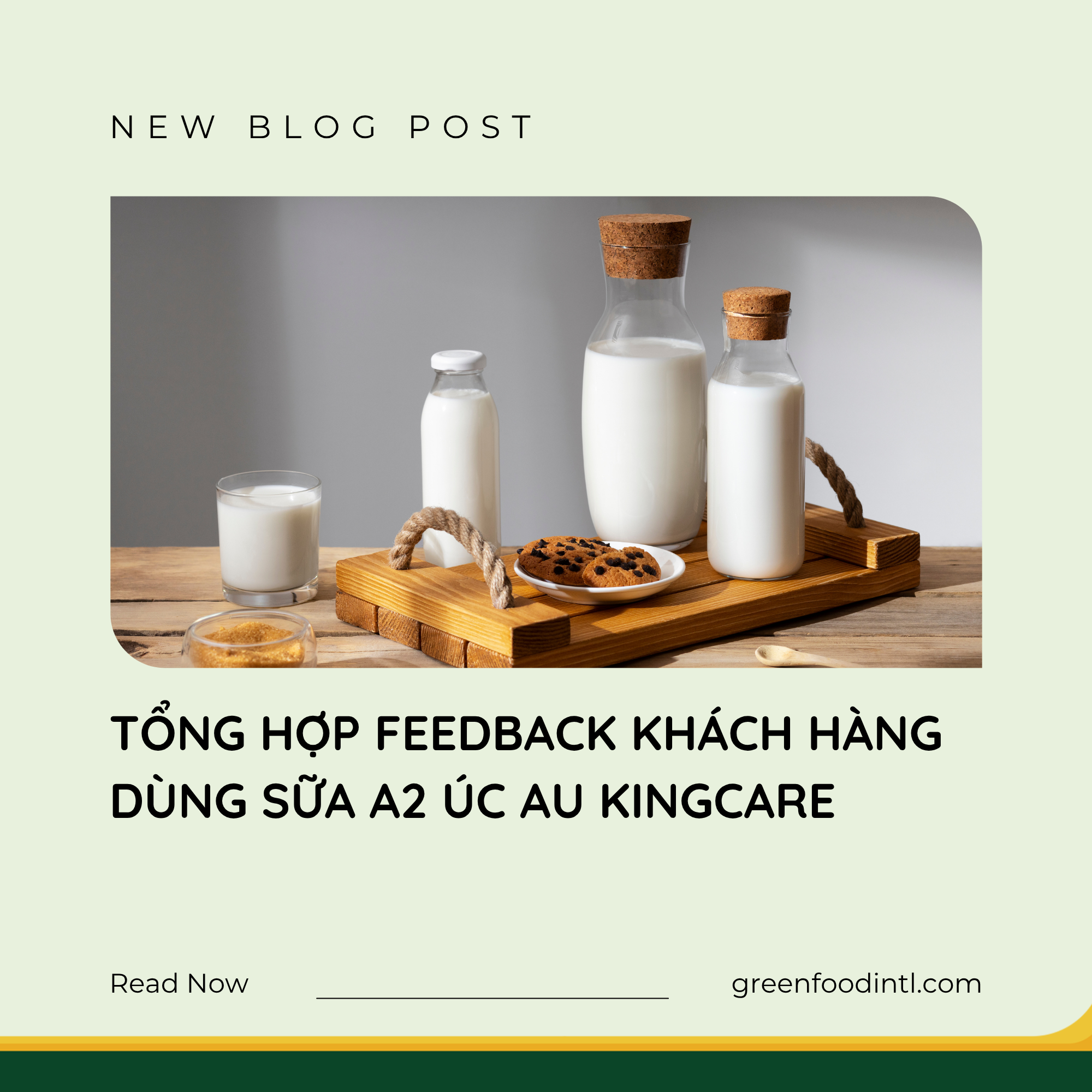 TỔNG HỢP FEEDBACK KHÁCH HÀNG DÙNG SỮA A2 ÚC AU KINGCARE