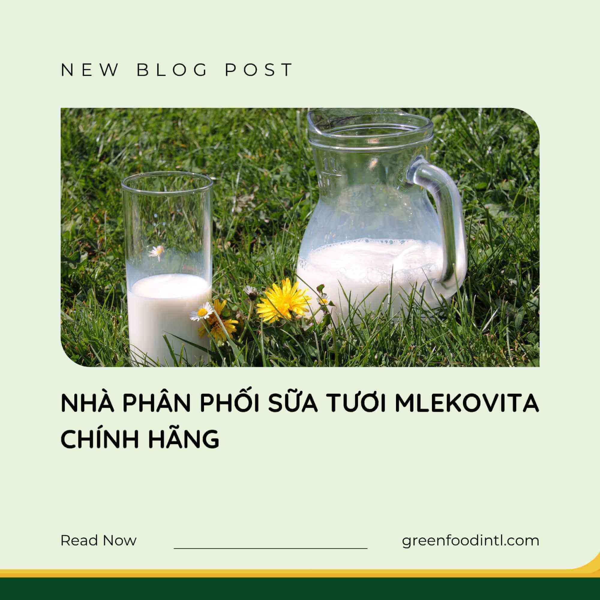 NHÀ PHÂN PHỐI SỮA TƯƠI MLEKOVITA CHÍNH HÃNG