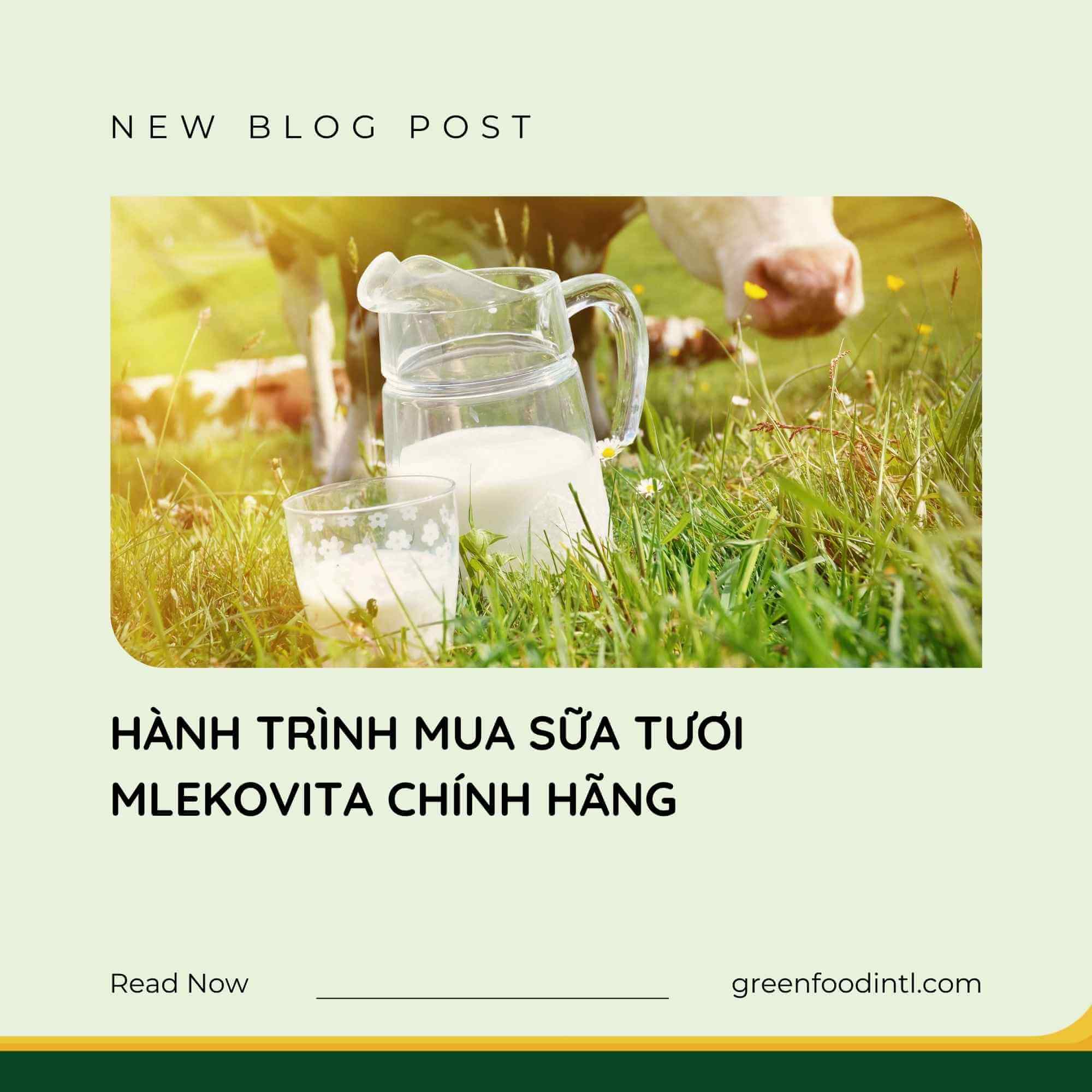 HÀNH TRÌNH MUA SỮA TƯƠI MLEKOVITA CHÍNH HÃNG