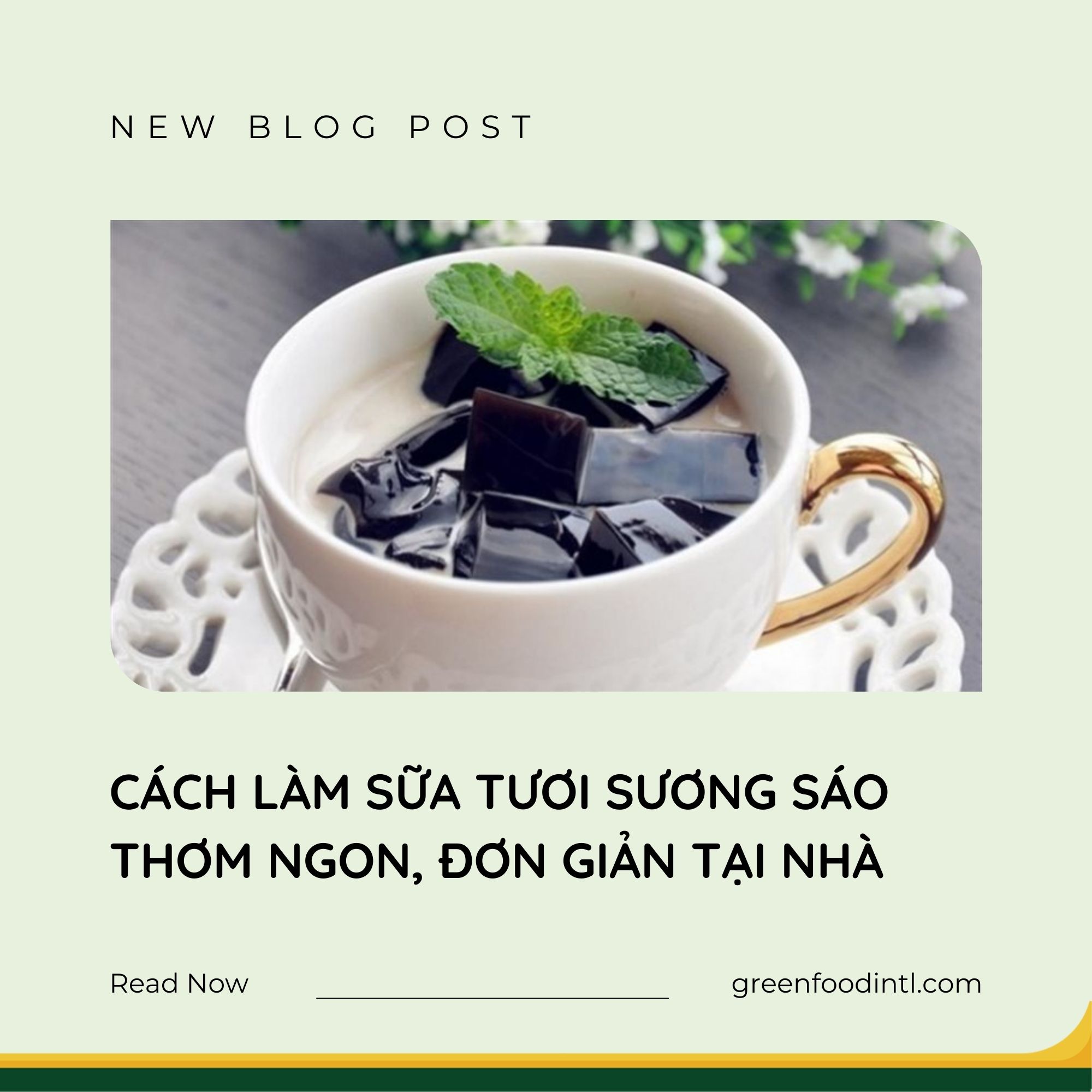 CÁCH LÀM SỮA TƯƠI SƯƠNG SÁO THƠM NGON, ĐƠN GIẢN TẠI NHÀ
