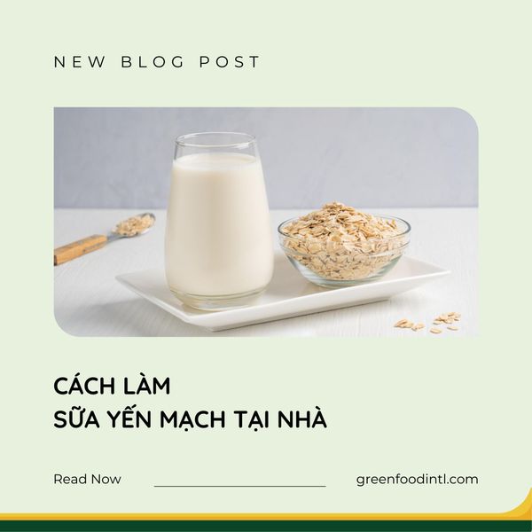 CÁCH LÀM SỮA YẾN MẠCH TẠI NHÀ
