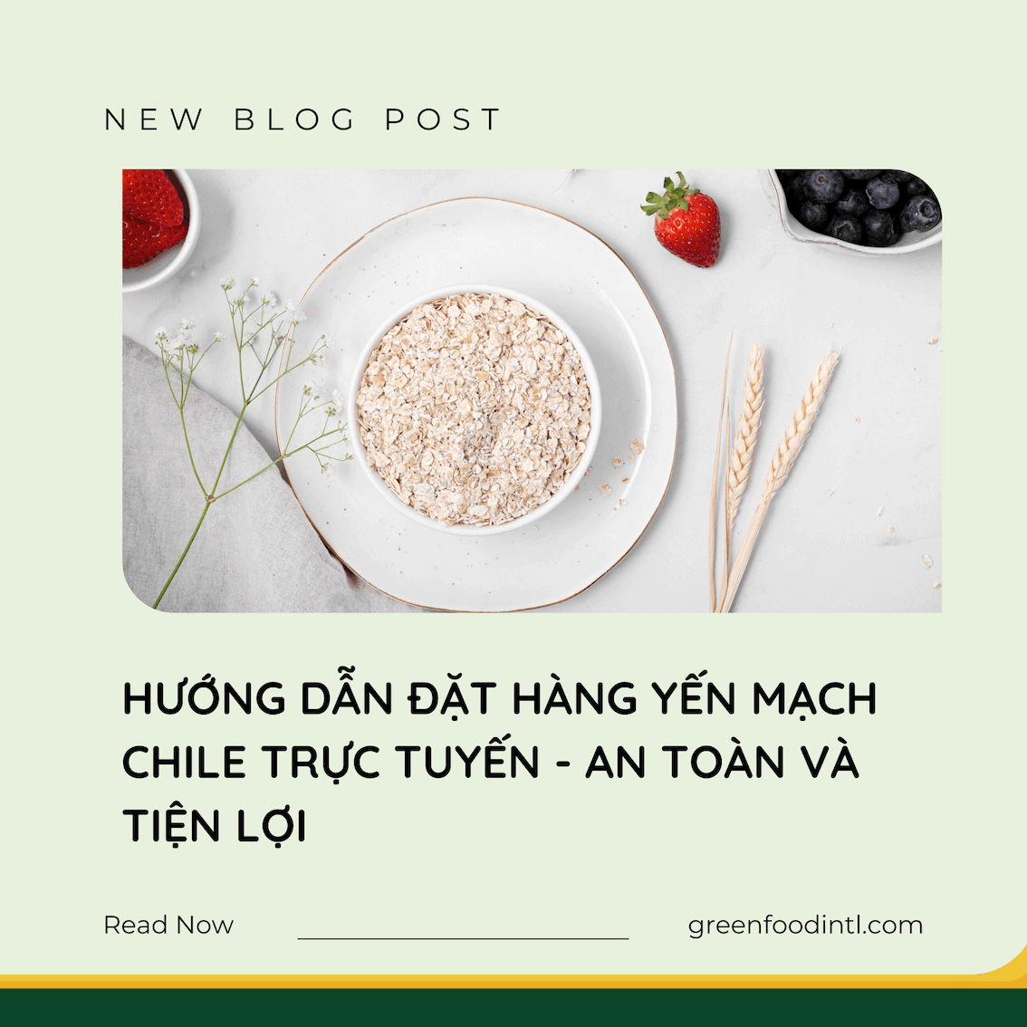 HƯỚNG DẪN ĐẶT HÀNG YẾN MẠCH CHILE TRỰC TUYẾN