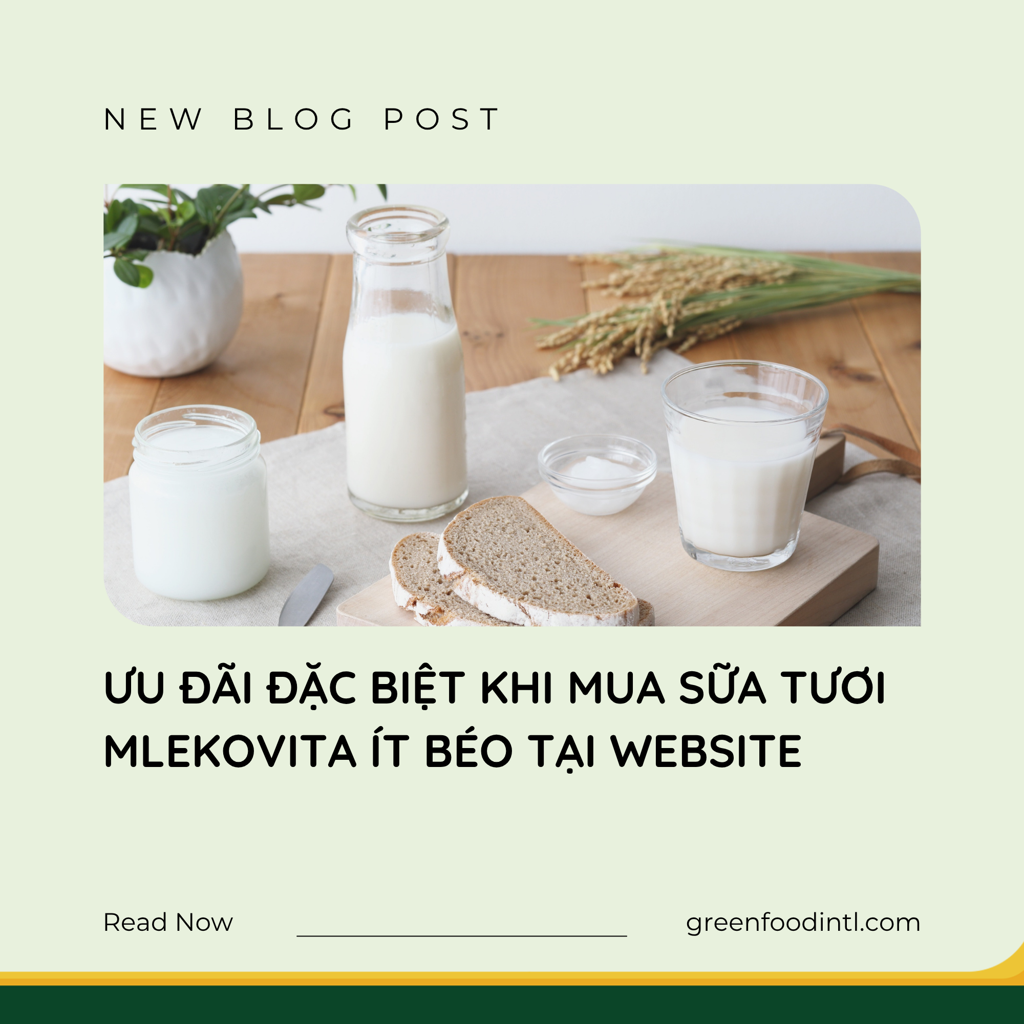 ƯU ĐÃI ĐẶC BIỆT KHI MUA SỮA TƯƠI MLEKOVITA ÍT BÉO TẠI WEBSITE