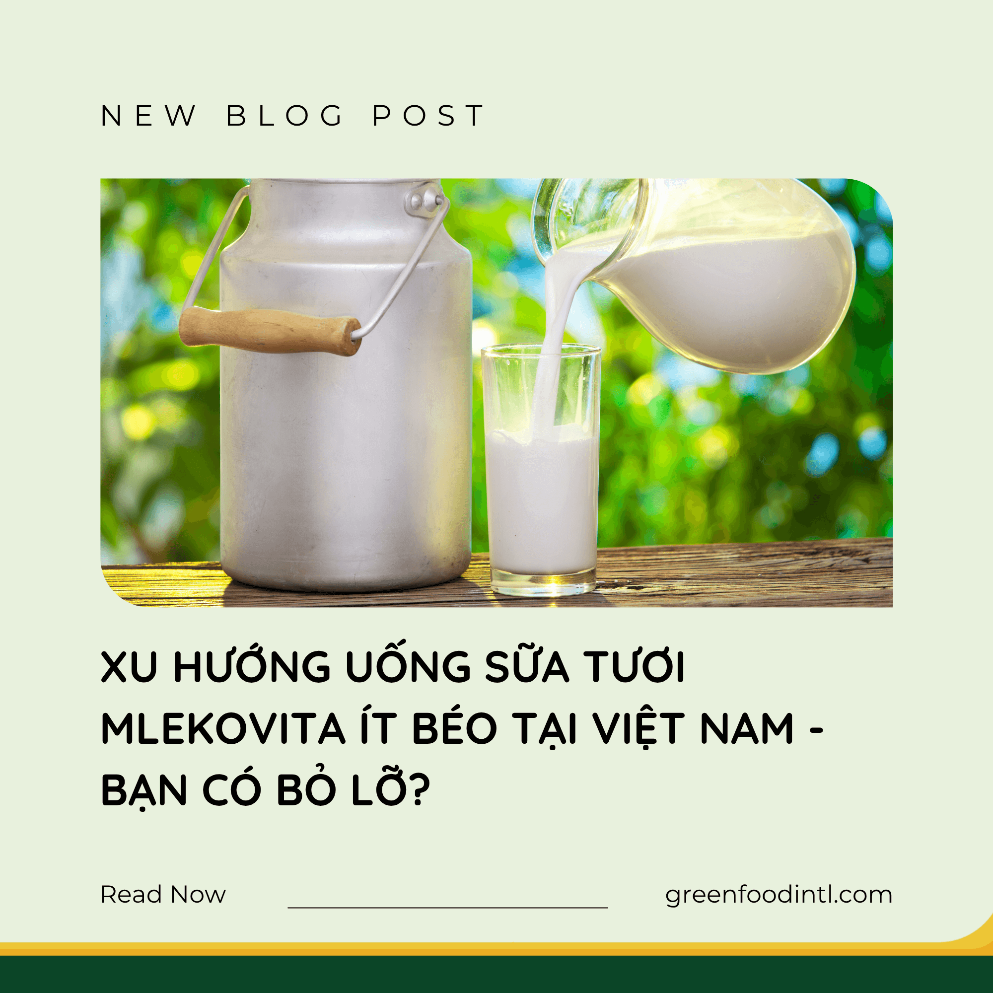 XU HƯỚNG UỐNG SỮA TƯƠI MLEKOVITA ÍT BÉO TẠI VIỆT NAM