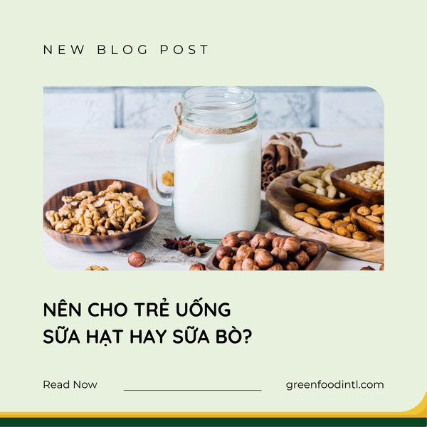 NÊN CHO TRẺ UỐNG SỮA HẠT HAY SỮA BÒ?